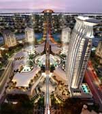 150Palm04